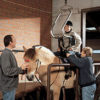 Horse riding hoist for disabled riders