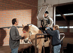 Horse riding hoist for disabled riders